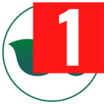 wellensstips.pages.dev favicon